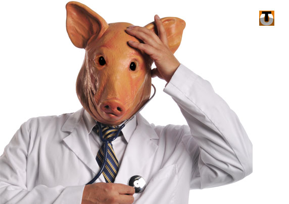 Question à Koen Geens sur l’affaire de la peste porcine africaine
