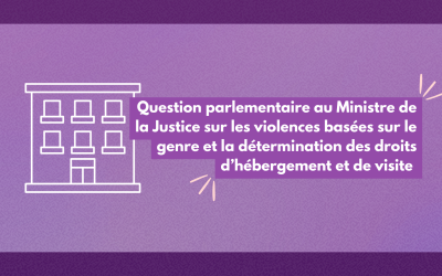 Question parlementaire au Ministre de la Justice sur les violences basées sur le genre et la détermination des droits d’hébergement et de visite »