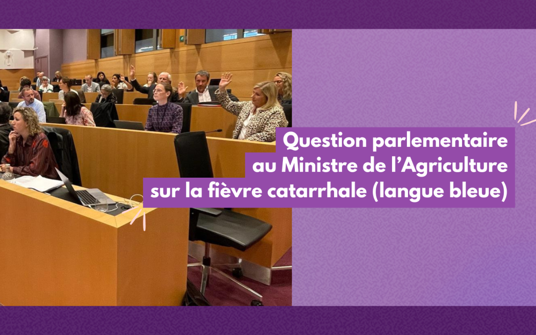 Question parlementaire au Ministre de l’Agriculture sur la fièvre catarrhale (langue bleue)